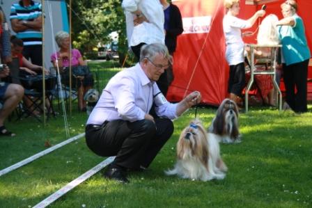Shih Tzu Danmark